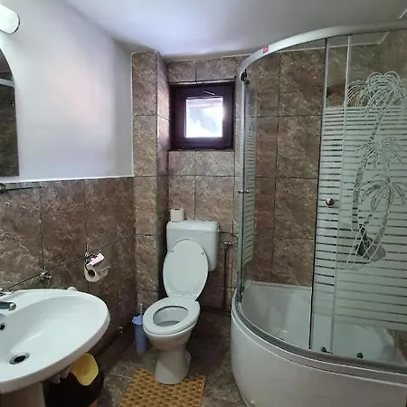 Casa Madalina בית הארחה בראשוב