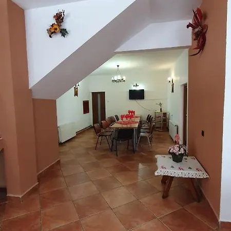 Casa Madalina בית הארחה בראשוב